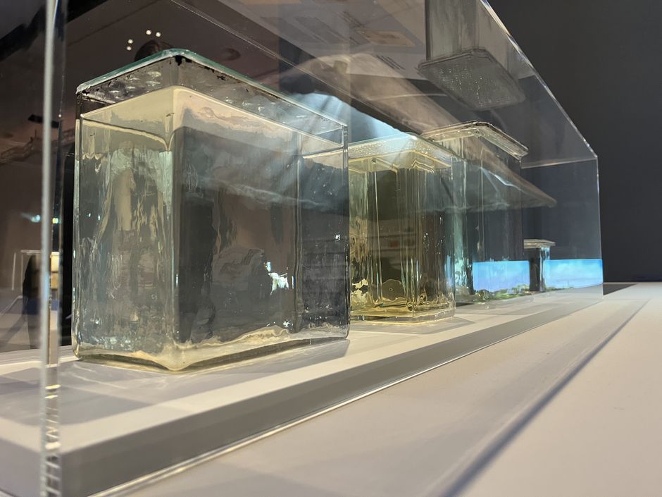 Badewasser in Präparategläsern aus dem Depot des Berliner Medizinhistorischen Museum der Charité