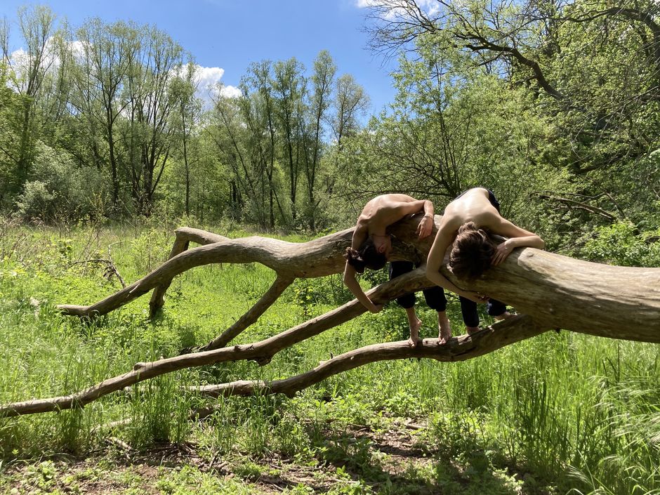 Weaving In von Svea Schneider-Sierra