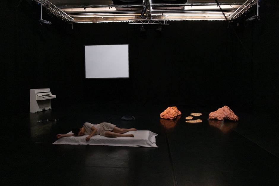 Derin Cankaya "Topography of a Body Hairy Sceneries", 2023 Derin Cankaya "Topography of a Body Hairy Sceneries", 2023