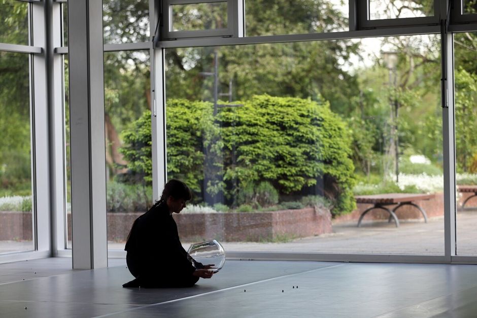 Orbit von Mariana Romagnani Orbit von Mariana Romagnani