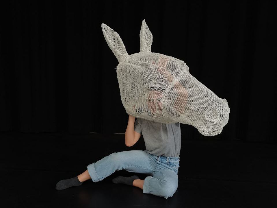 Everyone here is a bit of a horse